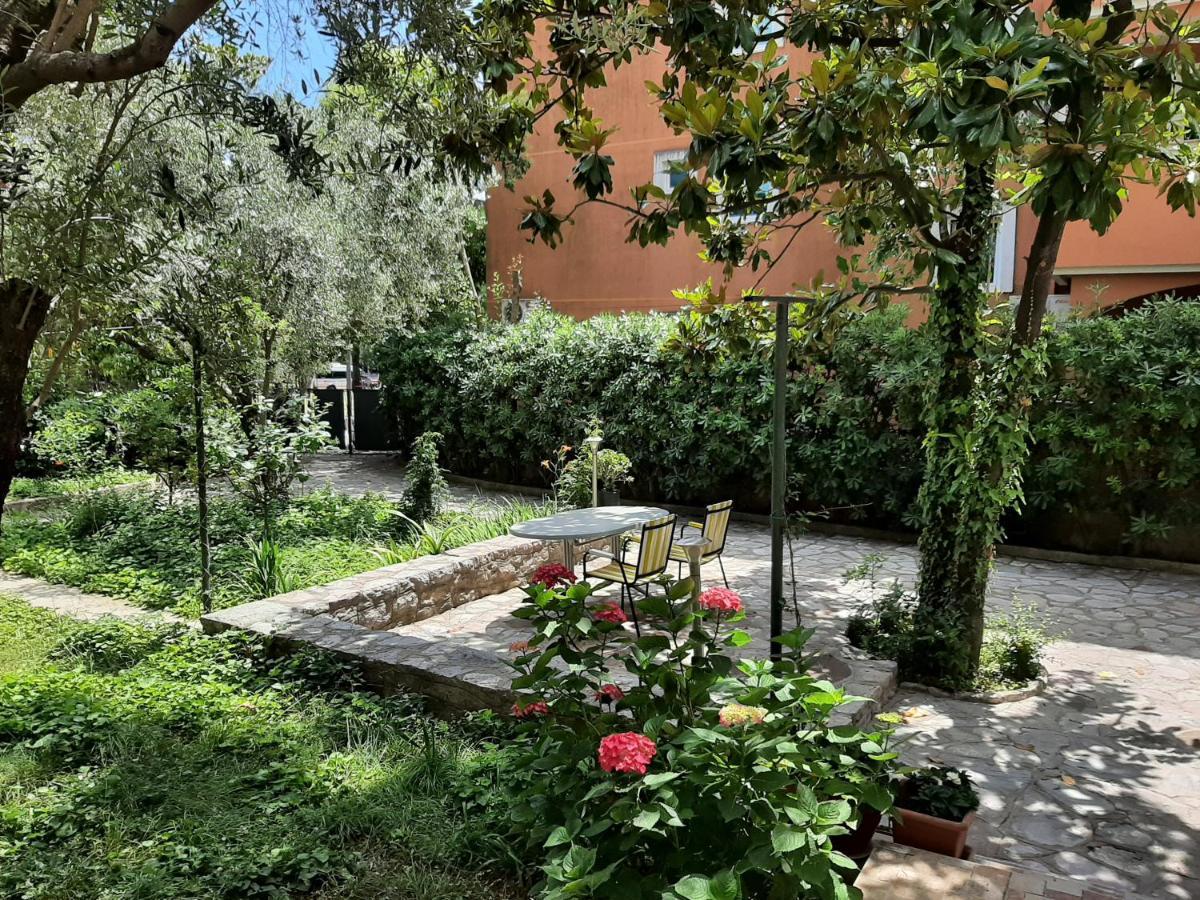 Apartmani Abeona بودفا المظهر الخارجي الصورة